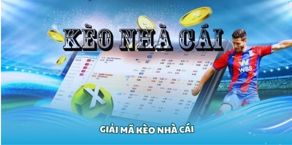 Tổng hợp các kèo nhà cái phổ biến hiện nay